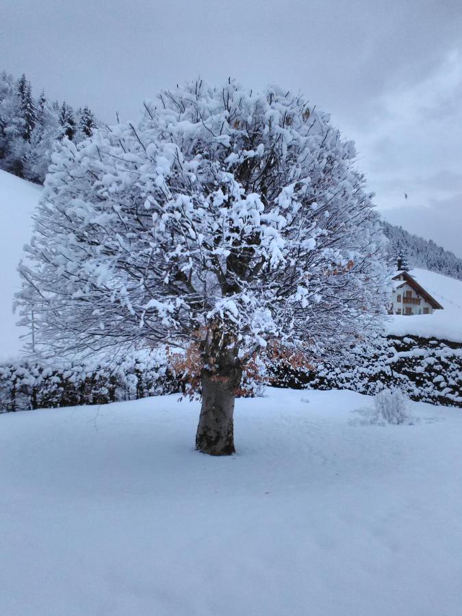 Appartamento Haus Kieler Schladming Esterno foto